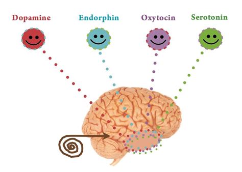 Endorphins - Chemicals In Charge Of Your Happiness