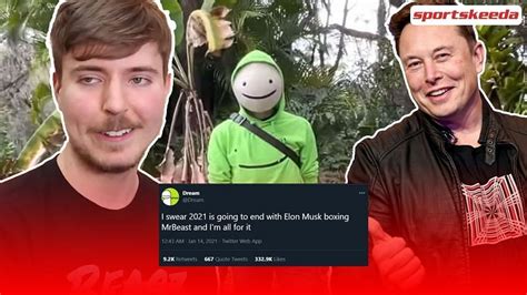 Minecraft Star Dream sends Twitter into a frenzy after suggesting a Mr Beast vs Elon Musk boxing ...