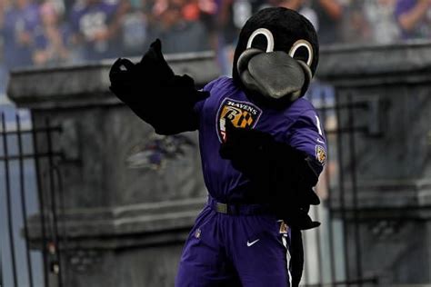 What is the Baltimore Ravens Mascot's Salary?