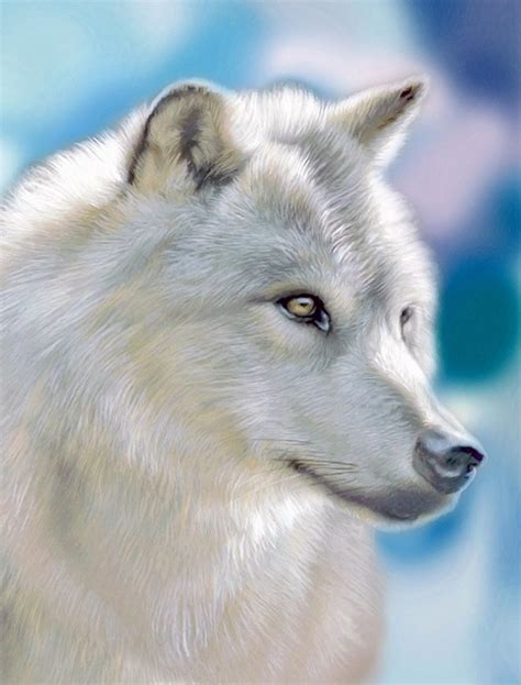 Download Silver Wolf, Animal, Forest. Royalty-Free Stock Illustration ...