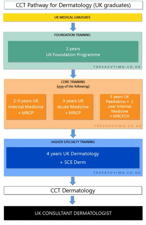 Become a Dermatologist in the UK: A comprehensive guide for IMGs – The Savvy IMG