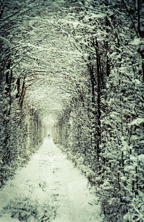 Tunnel Of Love in Ukraine | 20 Unbelievably beautiful places.