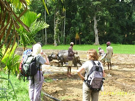 Trekking in Sri Lanka: Trekking In Sri Lanka