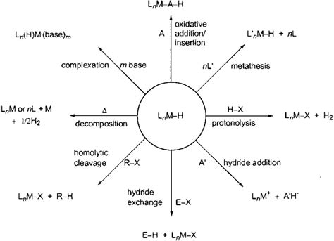 Scheme 2. Typical Reactions of a Main-Group Metal Hydride L n M-H a ...