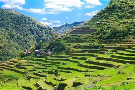 Ifugao State University assesses condition of rice terraces | Philstar.com