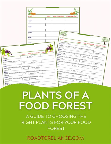 Choose the Right Plants For Your Food Forest- Road to Reliance