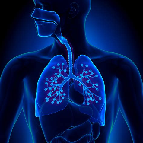 Medication-Blocking Mucus Barrier in Lungs Breached Using Nanoparticles ...