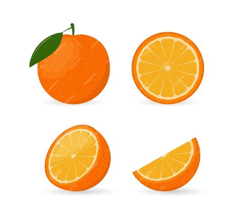 Premium Vector | Orange fruit whole half wedge and slice set