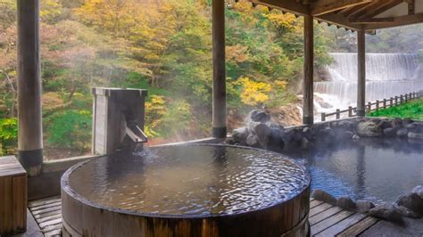 6 Nikko Ryokan with Private Onsen - Erika's Travelventures