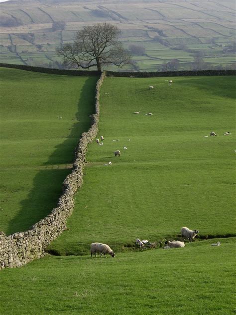 United Kingdom - photo | Yorkshire dales, Scenery, English countryside