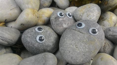 Day 16: Googly-Eyed Rock Thing-a-Day Forever, 50% OFF