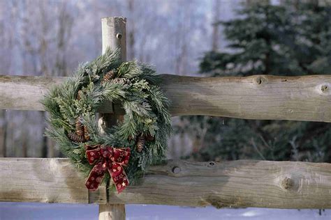 Outdoor Christmas Decorating With Trees and Foliage