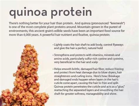 Quinoa Protein | Quinoa protein, Hair nutrients, Nutrition information