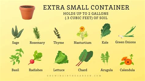 Guide to Container Sizes: Which Size Container Should I Use? - Growing ...