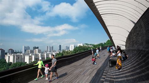 Take a Walk Across Henderson Waves Bridge - Visit Singapore Official Site