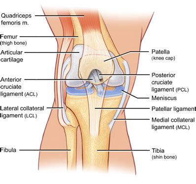 PCL Tear | Symptoms, treatment, surgery & recovery | SportsMD