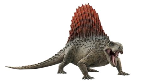 Dimetrodon | Jurassic Park Institute Wiki | Fandom