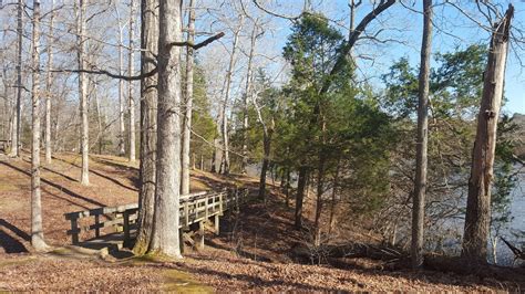 Divers and Sundry: Natchez Trace State Park Trails