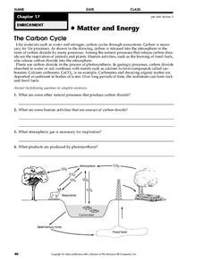 36 Carbon Cycle Worksheet Pdf - support worksheet