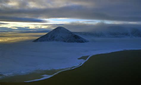 In Photos: On Russia's Remote Wrangel Island, a Haven for Arctic Wildlife - The Moscow Times