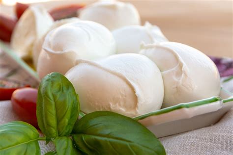 Fresh Mozzarella Cheese and How It Is Made