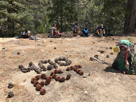 Sulphur Springs Trail Camp - Yellow Feet on the PCT