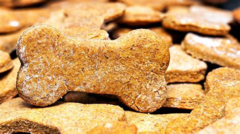 Homemade Dog Biscuits Recipe | How To Make Doggie Treats