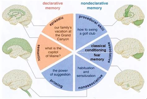 Declarative Memory Chart