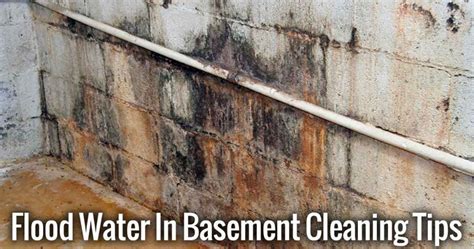 Basement Flood Cleanup Tips - AllergyConsumerReview