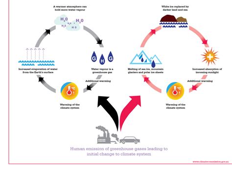 So what exactly is a feedback loop? | Climate Council