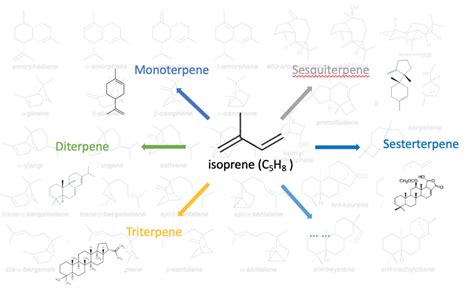 Terpene Structure