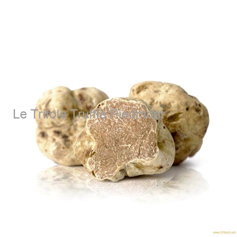 Precious White Truffle (Tuber Magnatum Pico) - Alba Piedmont Italy,Italy Le Trifole - Premium ...