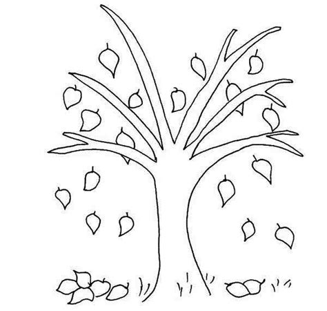 Beech Tree Autumn Leaf Coloring Page | Leaf coloring page, Tree ...