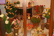Category:Cactus-shaped food - Wikimedia Commons