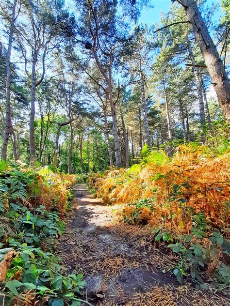 Suffolk Coast Path — Contours Walking Holidays