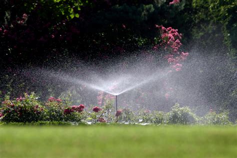 Best Aboveground Sprinklers: Landscaping in Calgary By Mirage