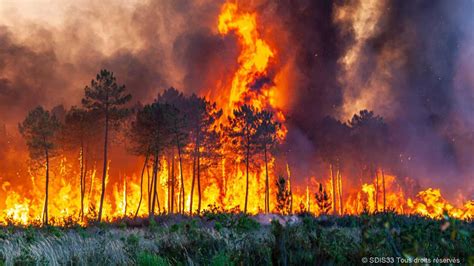 Kebakaran Spanyol Hanguskan 4 Ribu Hektar Hutan, 1.500 Warga Mengungsi - Global Liputan6.com