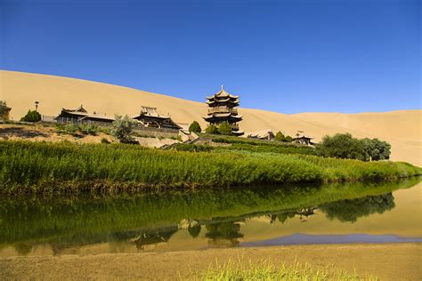 The Amazing oasis of Mongolian Gobi Dessert - Buzzer