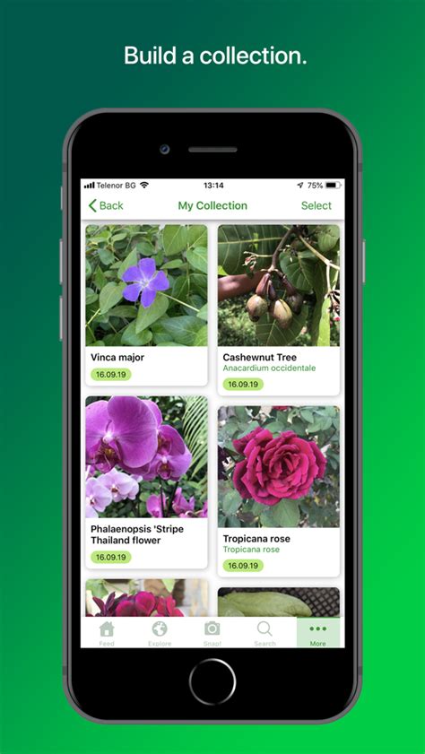 PlantSnap Pro: Identify Plants App for iPhone - Free Download PlantSnap Pro: Identify Plants for ...