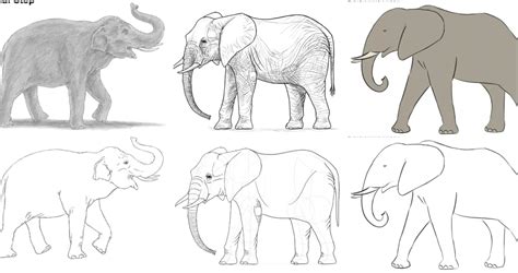 25 Easy Elephant Drawing Ideas - How to Draw an Elephant