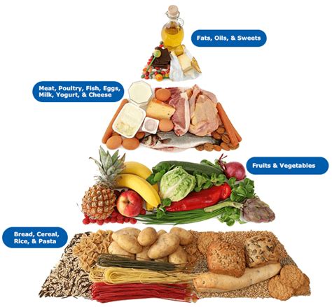 Madonna! 12+ Fatti su Nutrients In Food Pyramid? As it is a pyramid of healthy eating, with ...