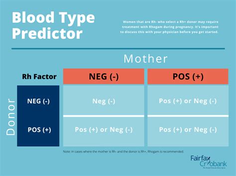 Blood Type Compatibility Predictor | Fairfax Cryobank Sperm Bank