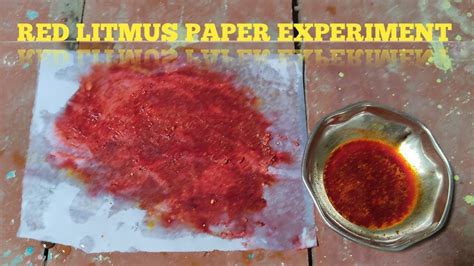 RED LITMUS PAPER EXPERIMENT || EXPERIMENT XYZ - YouTube