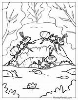 20 Ant Coloring Pages Free PDF Printables sketch template