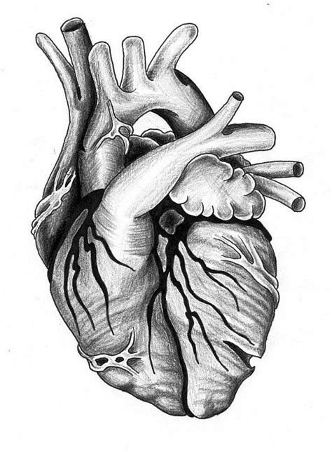 Heart Tattoo Sketch | Heart tattoo designs, Realistic heart tattoo, Tree heart tattoo