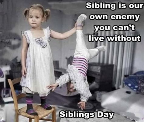 Funny National Siblings Day Meme Images - Technewssources.com