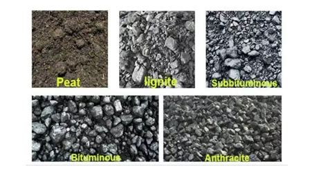 Coal and petroleum | PPT