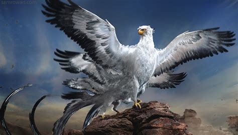 thunderbird - Google Search | Fantastic beasts, Fantasic beasts, Beast ...