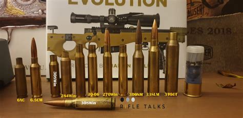 308Win Is it still the 'Can do it all rifle cartridge?' | Find out more ...