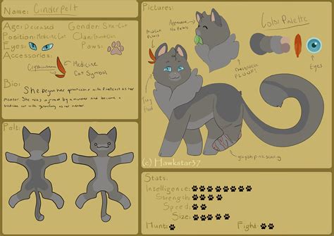 Part two of drawing warrior cat ref sheets: y’all really wanted good ol ...